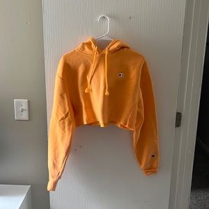 Champion crop hoodie